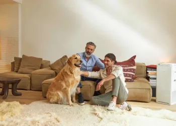 Hava Temizleyicilerin Faydaları Neler? Gerçekten İşlevsel mi?